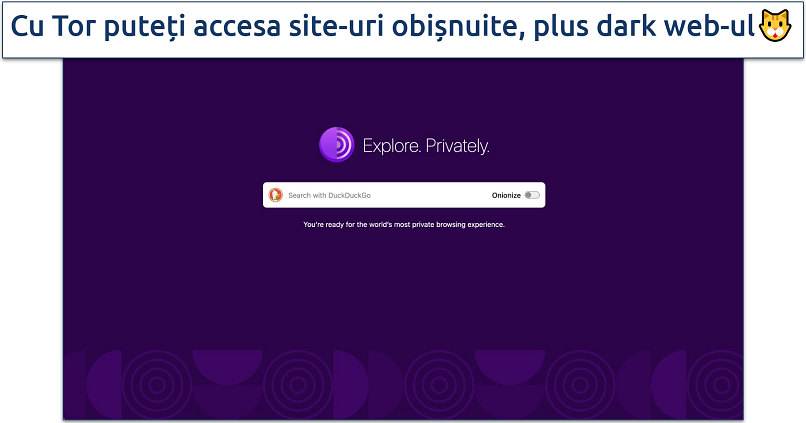 Screenshot of the Tor Browser homepage